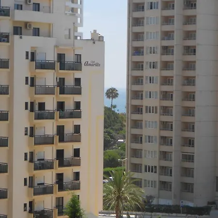 T0 Da Rocha * ポルティマン